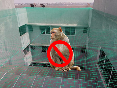 Monkey Net for Balconies